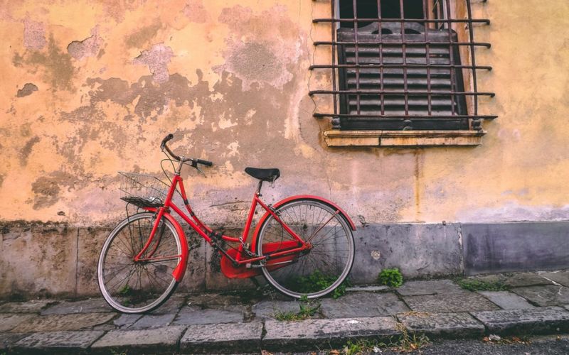 Pedalarcultura 2019 Pedalarcultura 2019