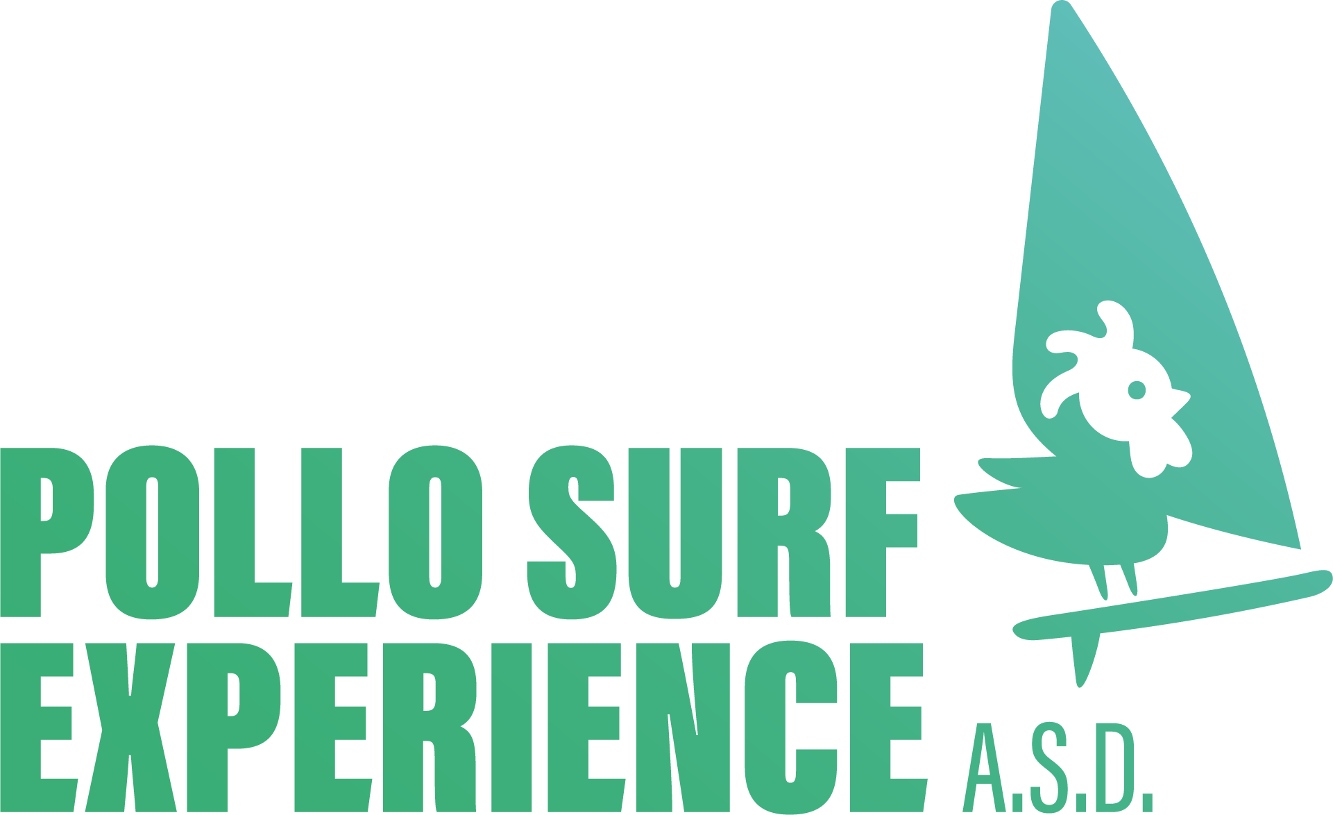 POLLO SURF EXPERIENCE