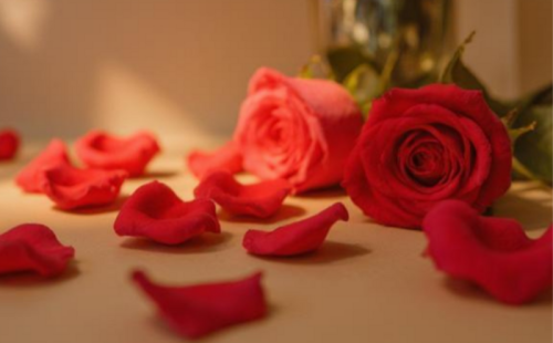 Valentine's Day at Horizon Resort