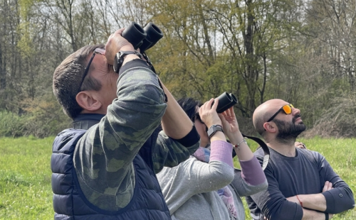 Eventi Marzo Palude Brabbia