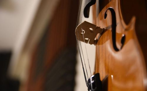 MusiCuvia 2026