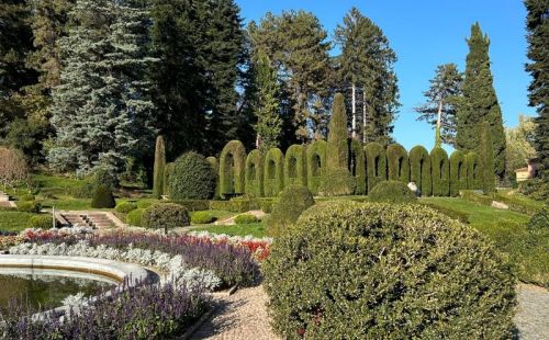 Varese nel Novecento, Un crocevia culturale 