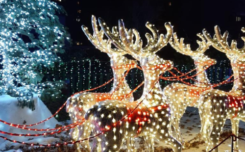 CHRISTMAS LIGHTS IN LEGGIUNO 2023
