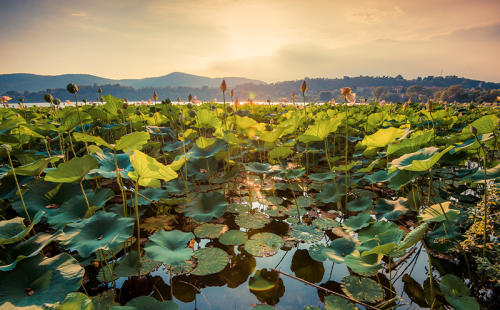 Lago di Varese e Comabbio in Ciclabile - da € 90