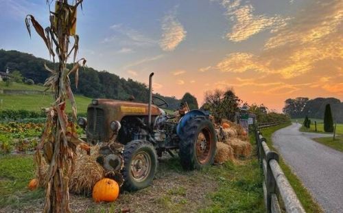 Festa d'autunno a Vegonno