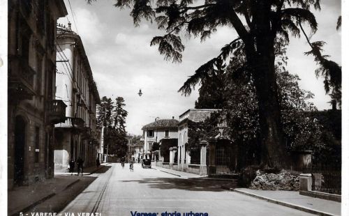 Urban Trekking a Varese: alla scoperta degli alberi monumentali 
