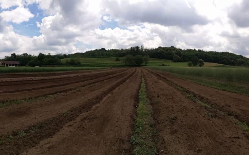 Azienda Agricola Mazza Giacomo