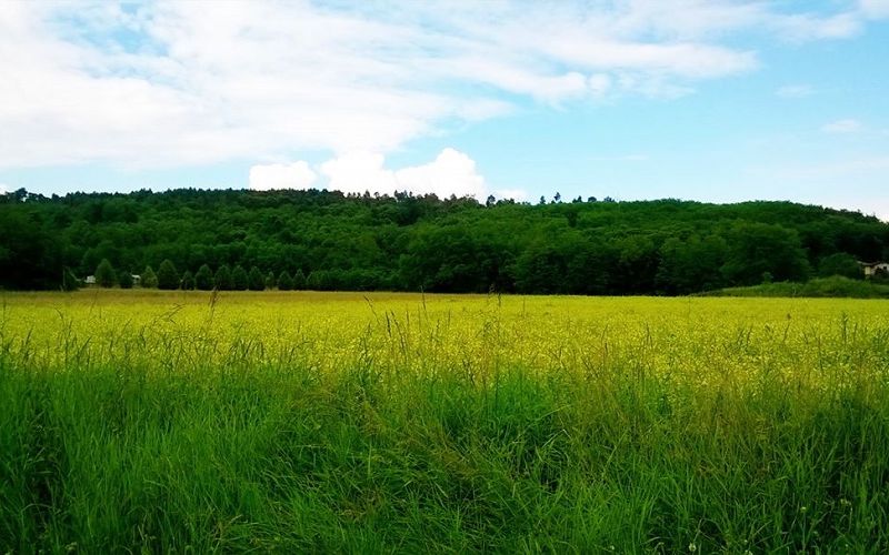 Monte San Giacomo - anello da Vergiate