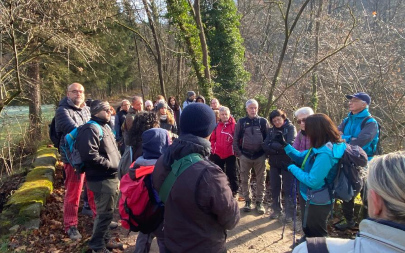 Naturalis Insubria APS