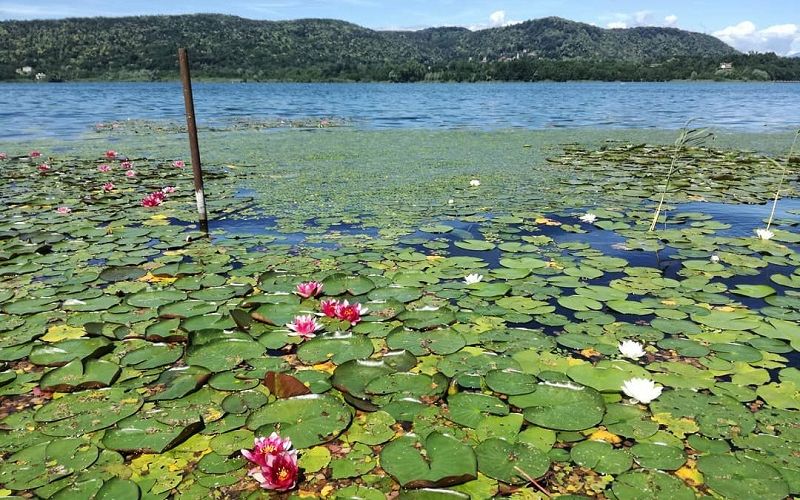 Anello pista ciclabile del lago di Comabbio