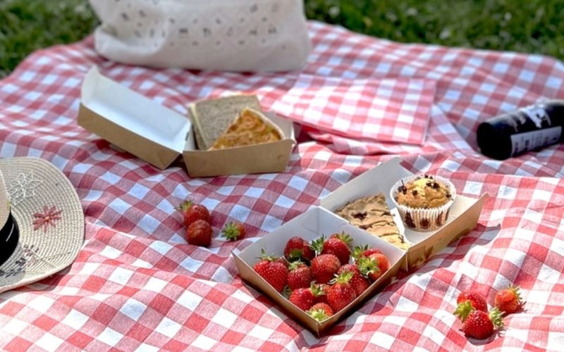 Bike rental half day with agricultural picnic 