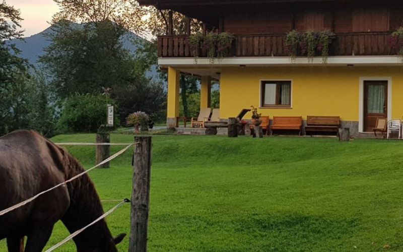 AGRITURISMO LA POMETA
