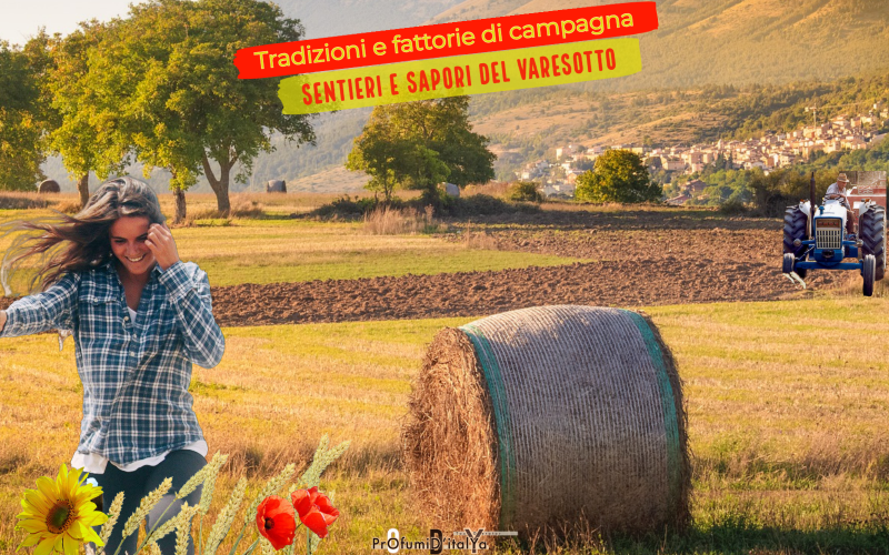 Sentieri e sapori del Varesotto: Tradizioni e fattorie di campagna