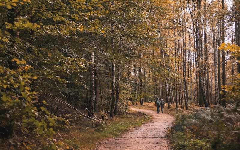 Slow trekking on the Lake Maggiore - from € 12