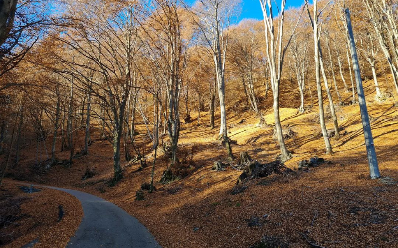 Passo del Cuvignone