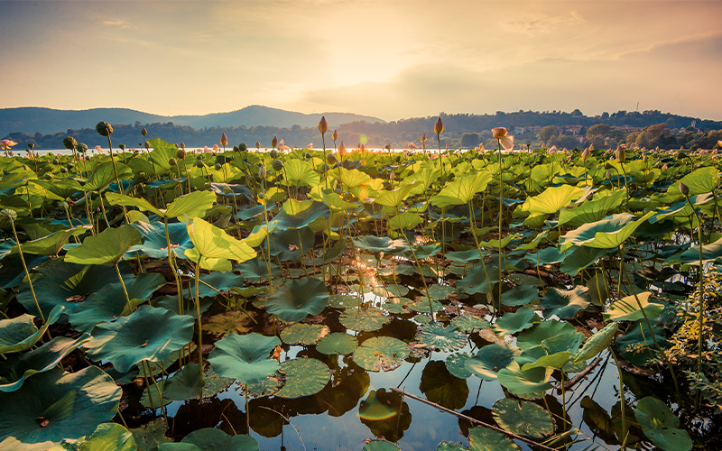 Varese and Comabbio Lake on the Cycle path - from € 90