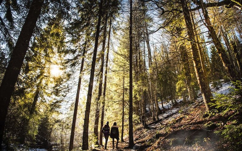 Dal Laghetto Montegrino al Monte Sette Termini 