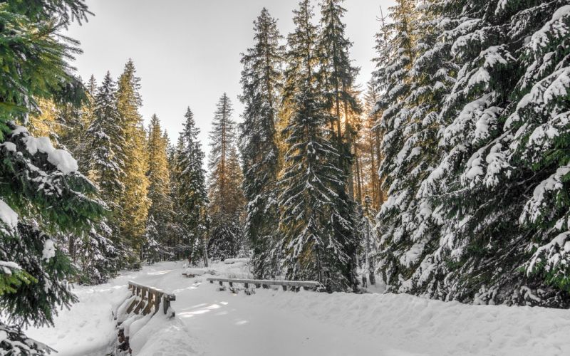 Il fascino dell’inverno: 3 itinerari per la stagione più fredda
