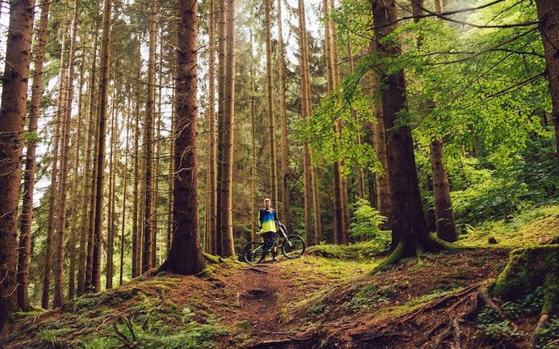 The sports field trail