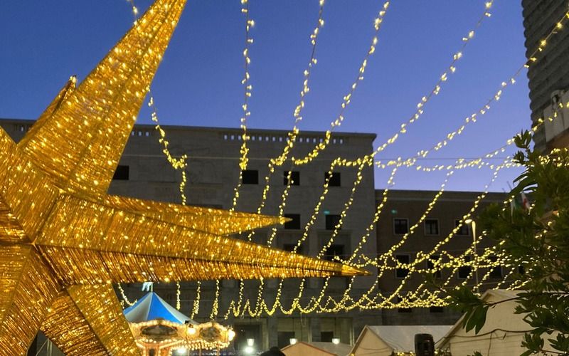 GUIDED TOUR OF VARESE AND ITS CENTRE