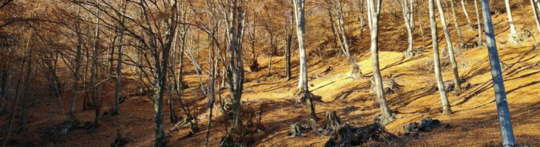 Passo del Cuvignone